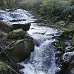 Altstadthotel Hotel 3*