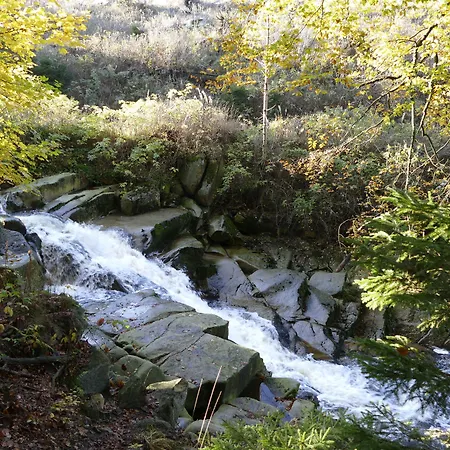 Altstadthotel 3* Ilsenburg