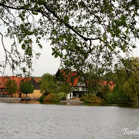 酒店 伊尔森堡老城酒店 伊尔森堡