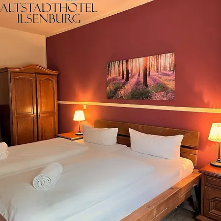 伊尔森堡老城酒店 酒店 3*