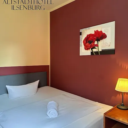 酒店 伊尔森堡老城酒店 3*