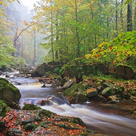 伊尔森堡老城酒店