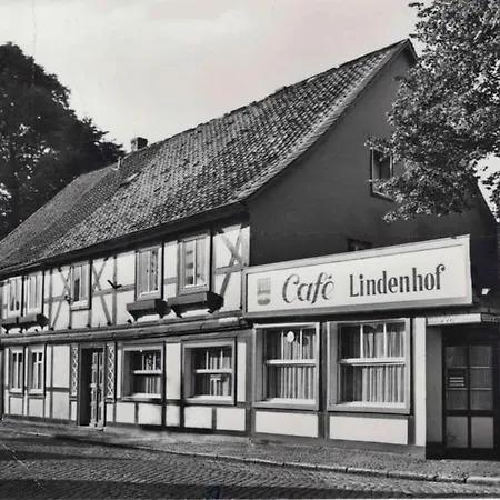 ホテル Altstadthotel 3*