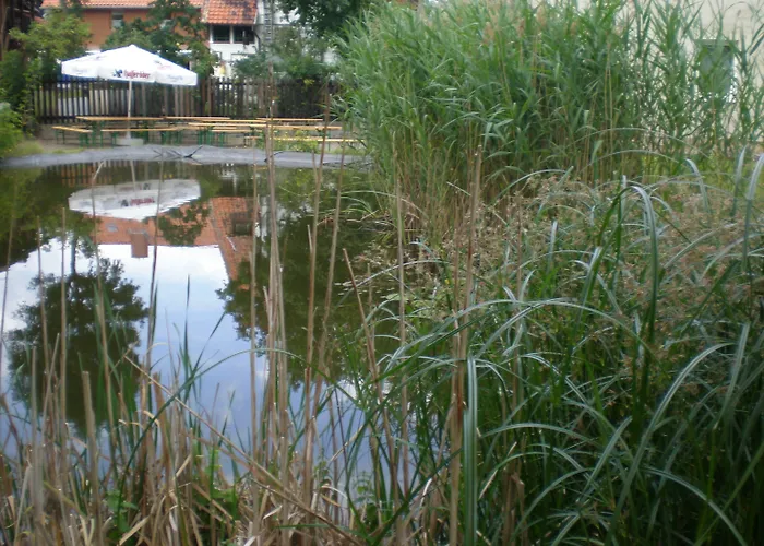 Hotel Altstadthotel 3*