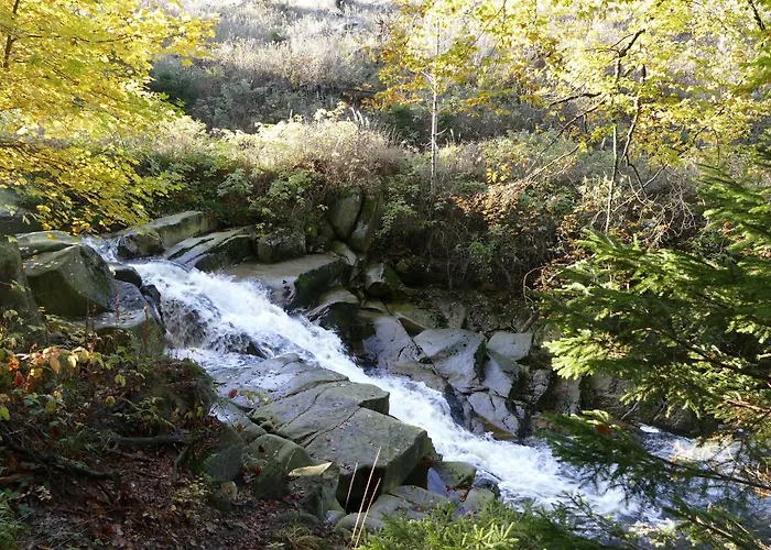 Altstadthotel 3* Ilsenburg