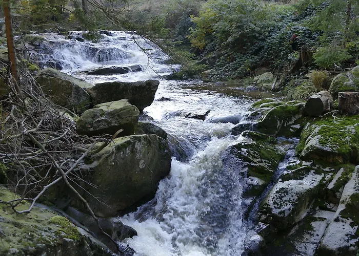 Altstadthotel Hotel 3*