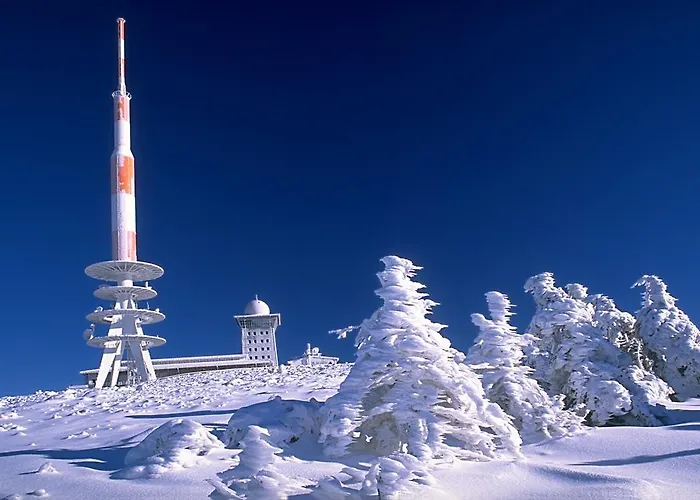 Altstadthotel 3* אילזנבורג