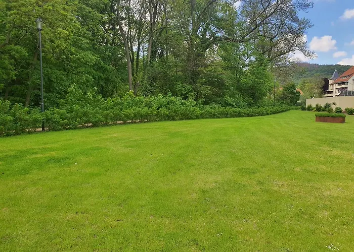 Altstadthotel 3* Ilsenburg